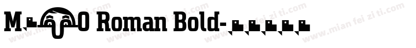 M650 Roman Bold字体转换